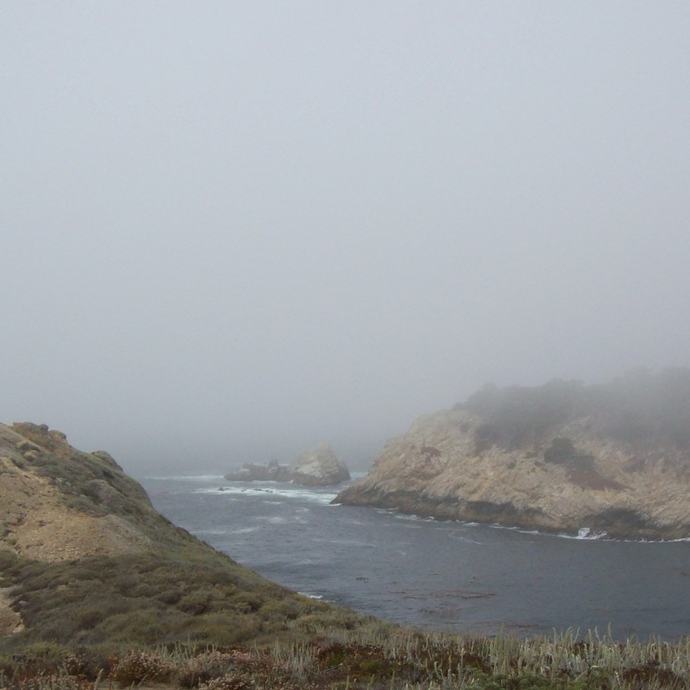 Meet your Posher, Mayah